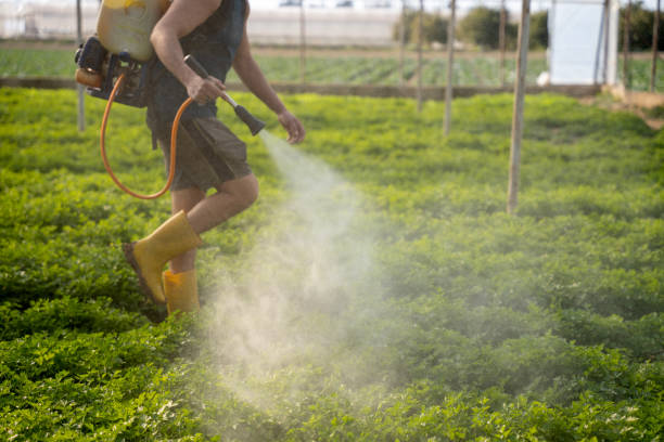 Best Ant Control Services  in Vienna, GA
