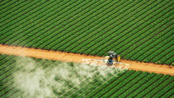 Best Commercial Pest Control Services  in Vienna, GA