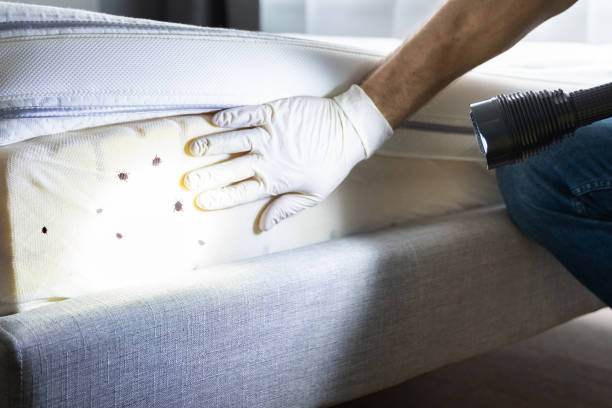 Best Best Pest Control Companies  in Vienna, GA