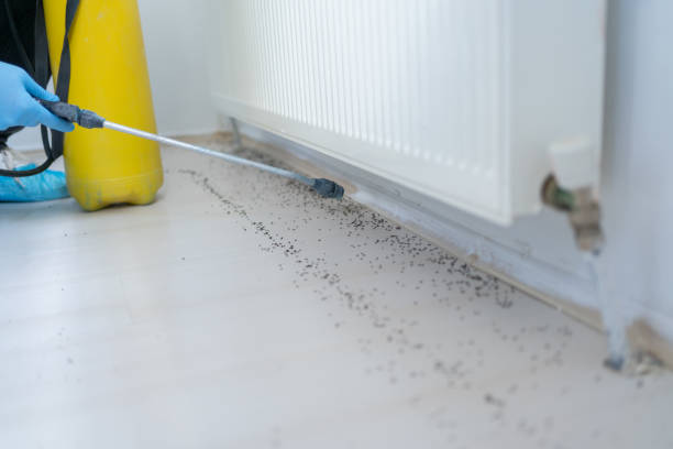 Best Pest Control Treatment  in Vienna, GA